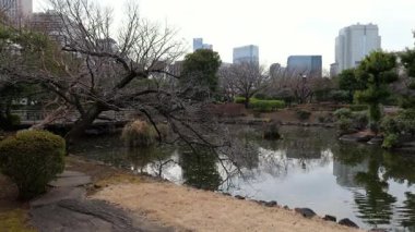 Japonya Ulusal Senato İnşaat Bahçesi Güney Bölgesi 2025