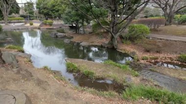 Japonya Ulusal Senato İnşaat Bahçesi Güney Bölgesi 2025