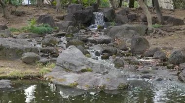 Japonya Ulusal Senato İnşaat Bahçesi Güney Bölgesi 2025