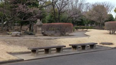 Japonya Ulusal Senato İnşaat Bahçesi Güney Bölgesi 2025