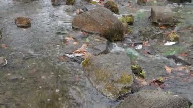 Japonya Ulusal Senato İnşaat Bahçesi Güney Bölgesi 2025