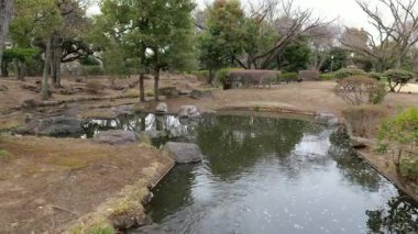 Japonya Ulusal Senato İnşaat Bahçesi Güney Bölgesi 2025