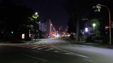Meiji Jingu Gaien, Japonya Tokyo Gece Manzarası 2025