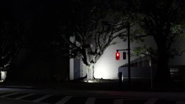 Meiji Jingu Gaien, Japonya Tokyo Gece Manzarası 2025