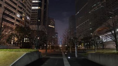 Shinagawa, Japonya Tokyo Gece Manzarası Mart 2025