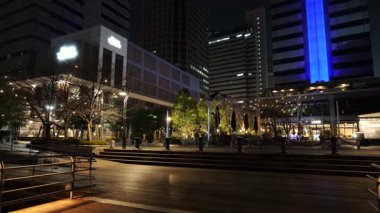 Tennoz Adası, Japonya Tokyo Gece Manzarası 2025