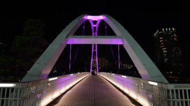 Tennoz Adası, Japonya Tokyo Gece Manzarası 2025