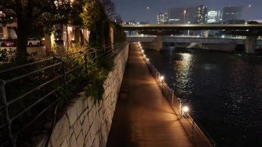 Tennoz Adası, Japonya Tokyo Gece Manzarası 2025