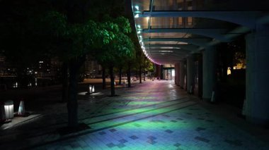 Harumi Triton Meydanı, Japonya Tokyo Gece Manzarası 2025