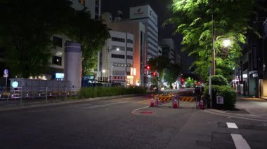 Yokoyamacho toptan satış alanı, Japon Tokyo Gece Manzarası 2025