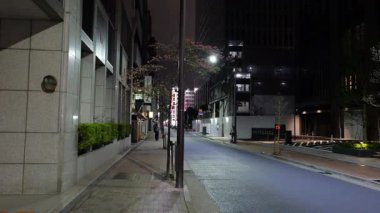 Hamamatsucho, Japon Tokyo Gece Manzarası Nisan 2025