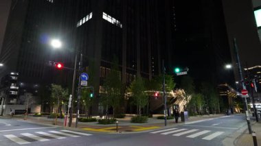 Hamamatsucho, Japon Tokyo Gece Manzarası Nisan 2025