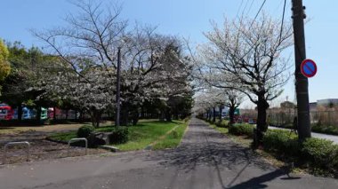 Akatsuki Wharf Park, Japonya Tokyo Nisan 2025