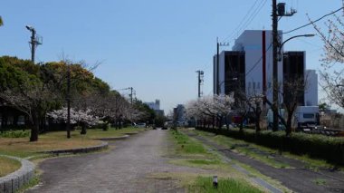 Akatsuki Wharf Park, Japonya Tokyo Nisan 2025
