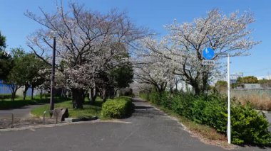 Akatsuki Wharf Park, Japonya Tokyo Nisan 2025