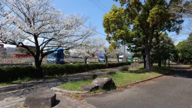 Akatsuki Wharf Park, Japonya Tokyo Nisan 2025