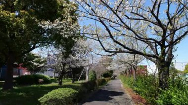 Akatsuki Wharf Park, Japonya Tokyo Nisan 2025