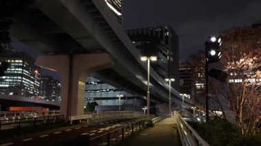 Takeshiba Yolcu Gemisi Terminal Gece Manzarası, Japonya Tokyo Mart 2025