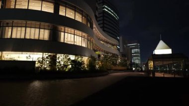 Takeshiba Yolcu Gemisi Terminal Gece Manzarası, Japonya Tokyo Mart 2025