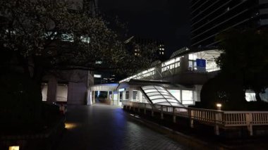 Takeshiba Yolcu Gemisi Terminal Gece Manzarası, Japonya Tokyo Mart 2025