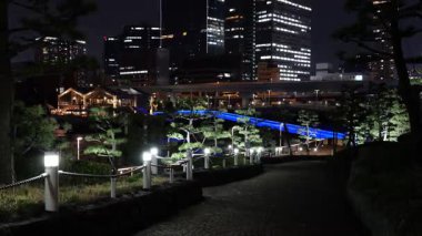 Takeshiba Yolcu Gemisi Terminal Gece Manzarası, Japonya Tokyo Mart 2025