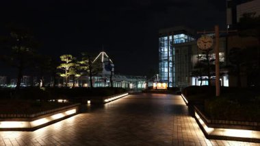 Takeshiba Yolcu Gemisi Terminal Gece Manzarası, Japonya Tokyo Mart 2025