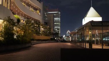 Takeshiba Yolcu Gemisi Terminal Gece Manzarası, Japonya Tokyo Mart 2025