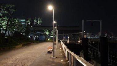 Takeshiba Yolcu Gemisi Terminal Gece Manzarası, Japonya Tokyo Mart 2025