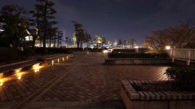 Takeshiba Yolcu Gemisi Terminal Gece Manzarası, Japonya Tokyo Mart 2025