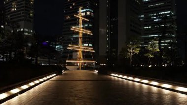 Takeshiba Yolcu Gemisi Terminal Gece Manzarası, Japonya Tokyo Mart 2025