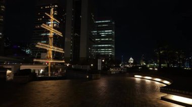 Takeshiba Yolcu Gemisi Terminal Gece Manzarası, Japonya Tokyo Mart 2025