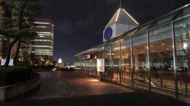 Takeshiba Yolcu Gemisi Terminal Gece Manzarası, Japonya Tokyo Mart 2025