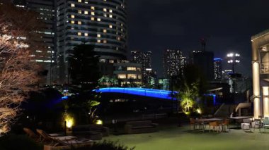 Takeshiba Yolcu Gemisi Terminal Gece Manzarası, Japonya Tokyo Mart 2025