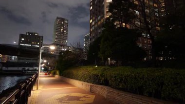 Shibaura Adası, Japonya Tokyo Gece Manzarası 2025