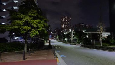Shibaura Adası, Japonya Tokyo Gece Manzarası 2025
