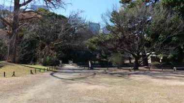 Hama-rikyu Bahçeleri, Japonya Tokyo 2025