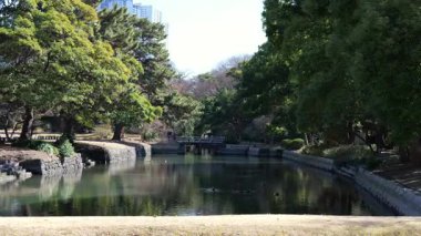 Hama-rikyu Bahçeleri, Japonya Tokyo 2025