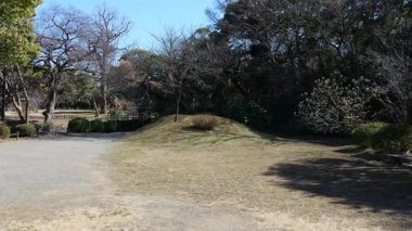 Hama-rikyu Bahçeleri, Japonya Tokyo 2025