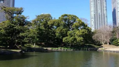 Hama-rikyu Bahçeleri, Japonya Tokyo 2025