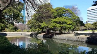 Hama-rikyu Bahçeleri, Japonya Tokyo 2025