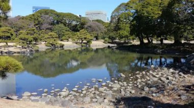 Hama-rikyu Bahçeleri, Japonya Tokyo 2025