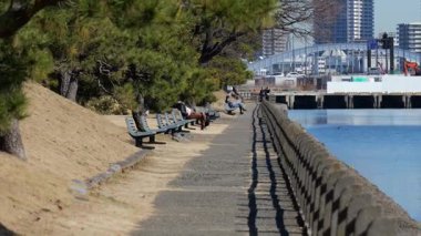 Hama-rikyu Bahçeleri, Japonya Tokyo 2025