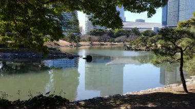 Hama-rikyu Bahçeleri, Japonya Tokyo 2025