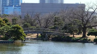 Hama-rikyu Bahçeleri, Japonya Tokyo 2025