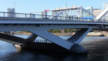 Tsukiji Ohashi, Japonya Tokyo Ocak 2025