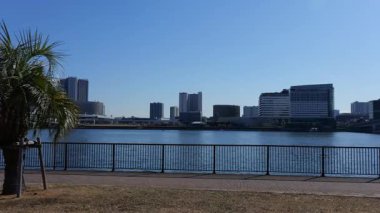 Harumi Ryokudo Parkı, Japonya Tokyo Ocak 2025