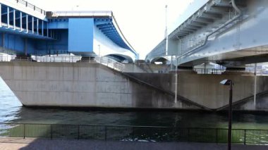 Harumi Ryokudo Parkı, Japonya Tokyo Ocak 2025