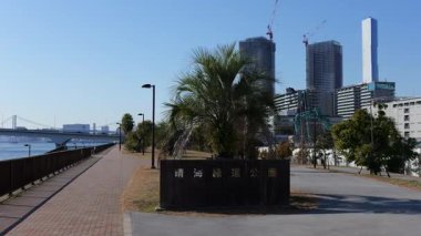 Harumi Ryokudo Parkı, Japonya Tokyo Ocak 2025