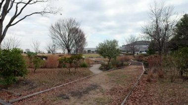 Tokyo Rinkai Afet Önleme Parkı, Ocak 2025