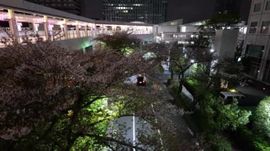 Osaki, Japonya Tokyo Gece Manzarası 2025